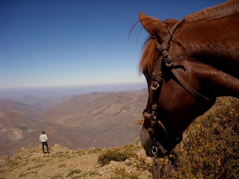 Hacienda Los Andes Villa Hurtado Kültér fotó