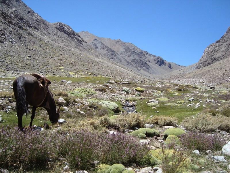 Hacienda Los Andes Villa Hurtado Kültér fotó