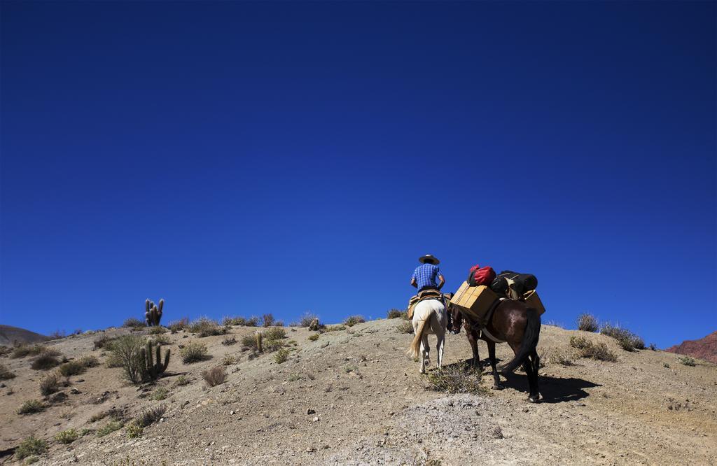 Hacienda Los Andes Villa Hurtado Kültér fotó