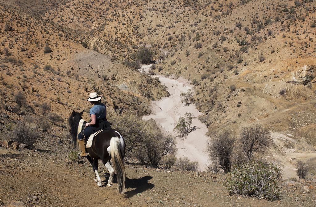 Hacienda Los Andes Villa Hurtado Kültér fotó