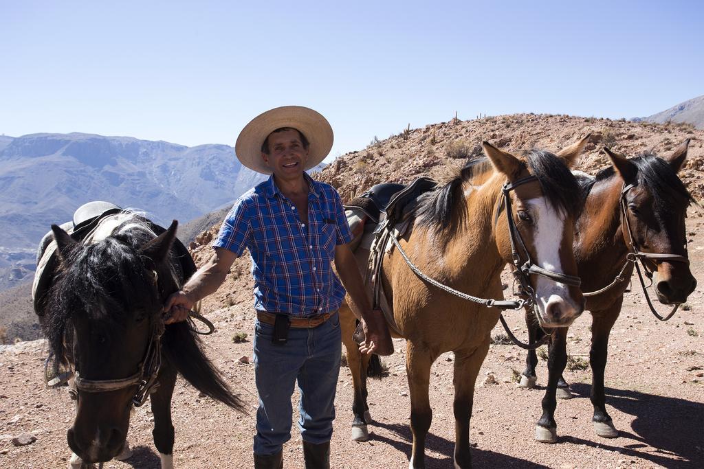 Hacienda Los Andes Villa Hurtado Kültér fotó